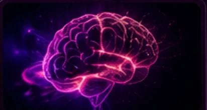 Illuminated neural network and brain